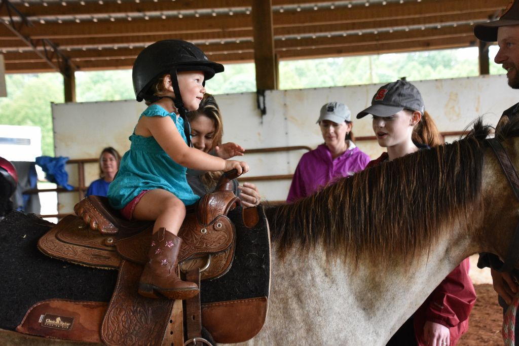 mimosa farm 2019 038 (1024x683).jpg